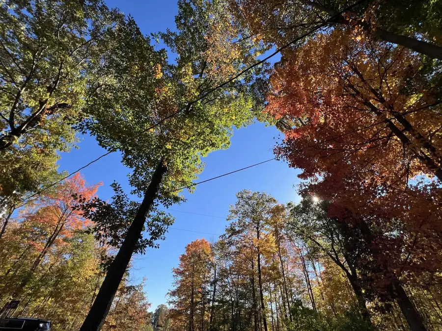 6240 Terry, Six Lakes, MI 48886 - #3