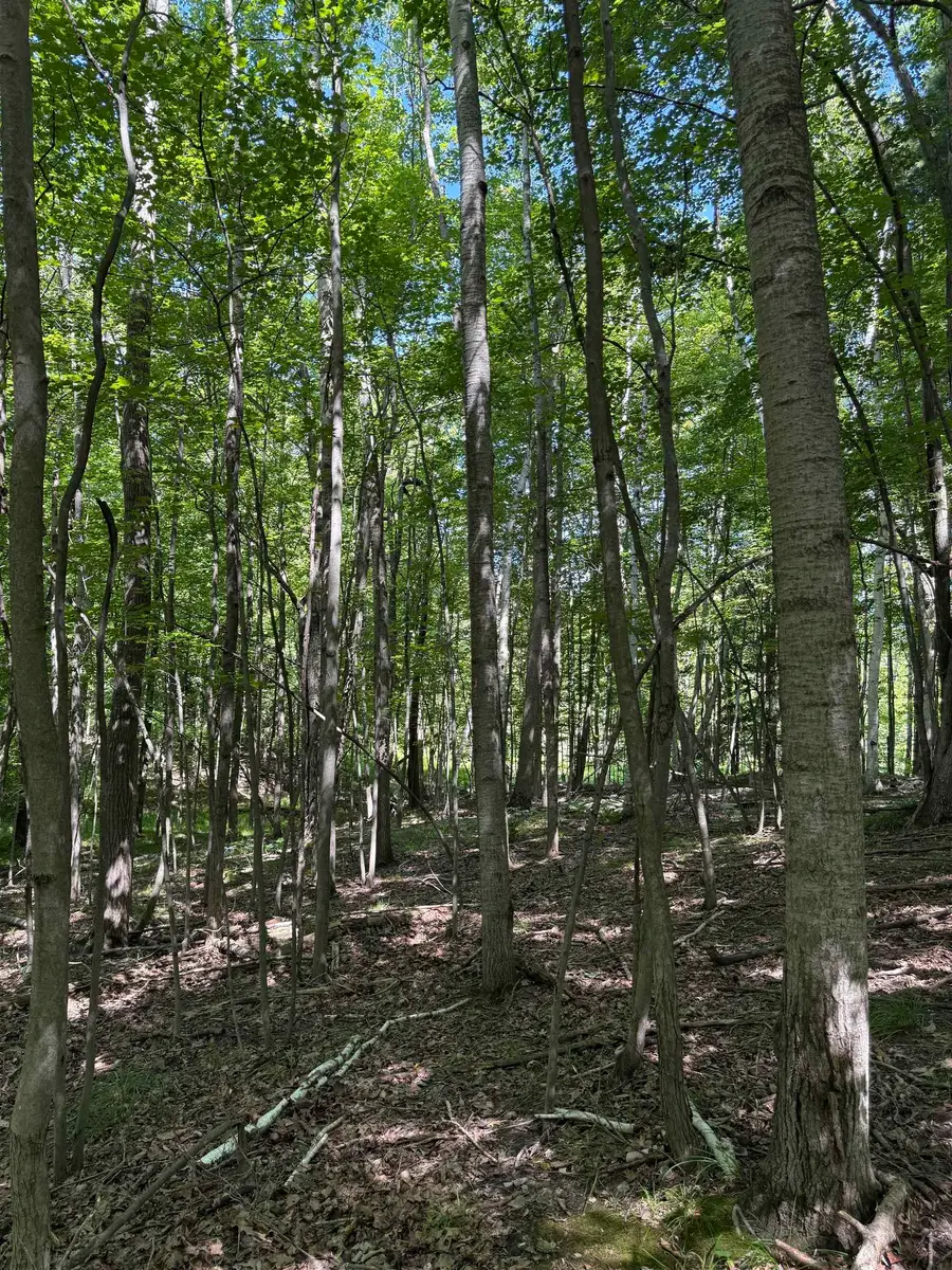 TBD Rivers Edge TRL, Deerfield, MI 48858 - #3