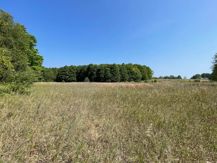 17+/-ACRES Marsh RD, Kingsley, MI 49649 - #3