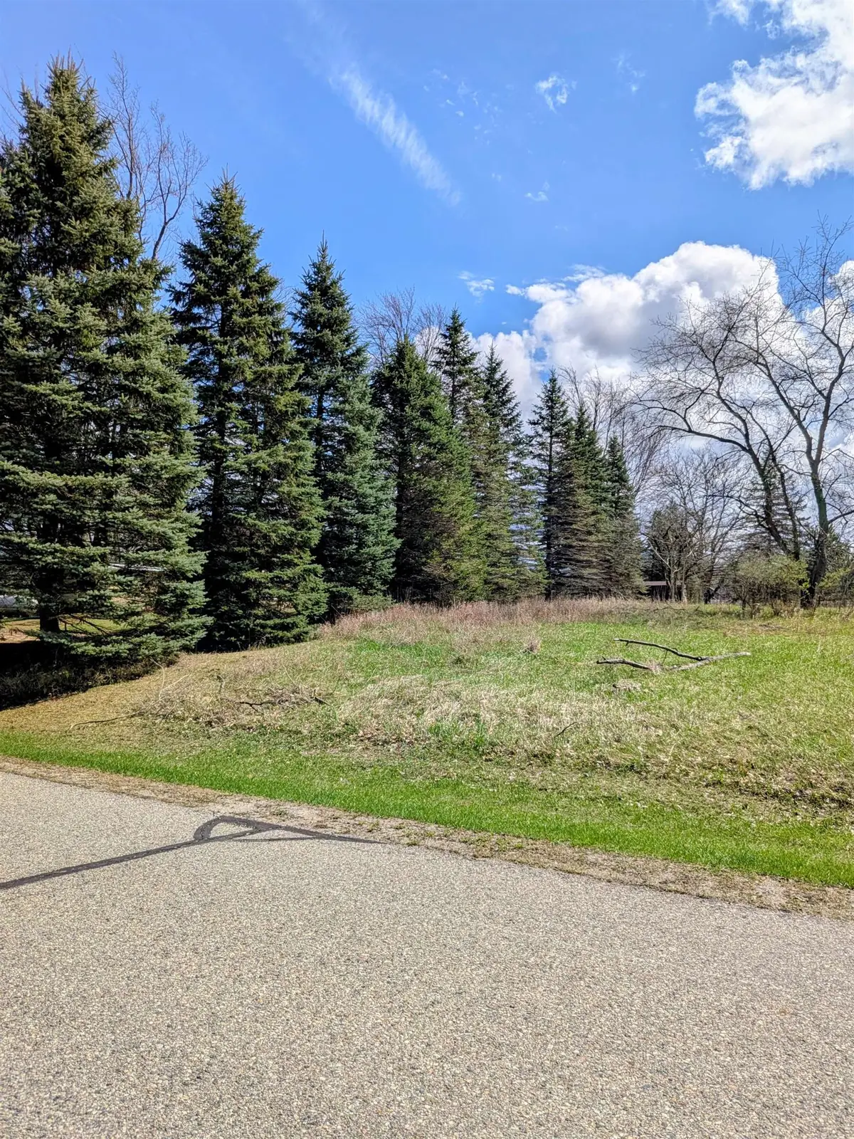 1095 Lincoln, Lake Isabella, MI 48893 - #1