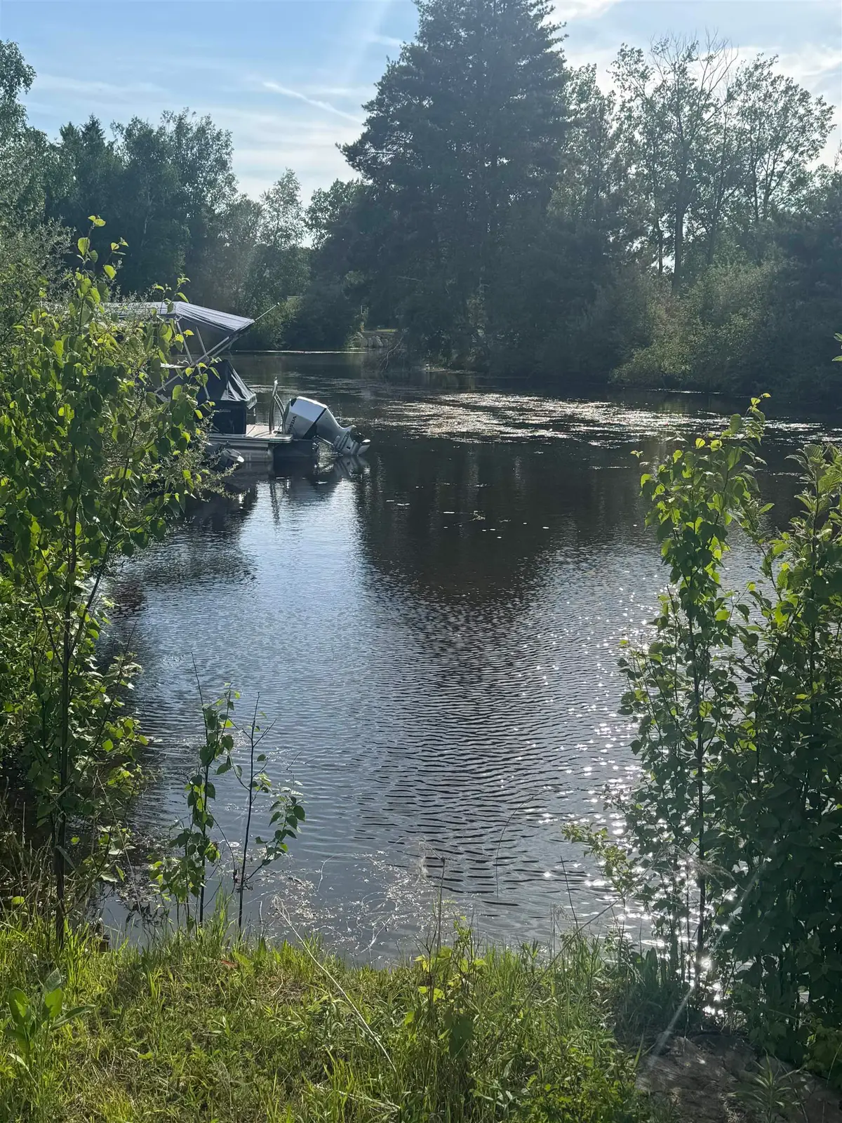 1196 Clubhouse, Weidman, MI 48893 - #1