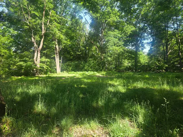7820 Wilderness, Weidman, MI 48893