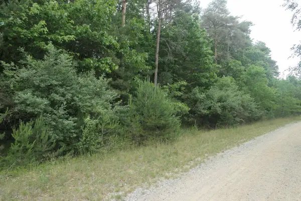 Merrill, Vestaburg, MI 48891