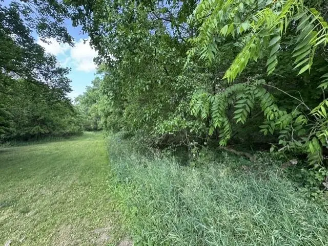 TBD N Lincoln, Stanton, MI 48888 - #1