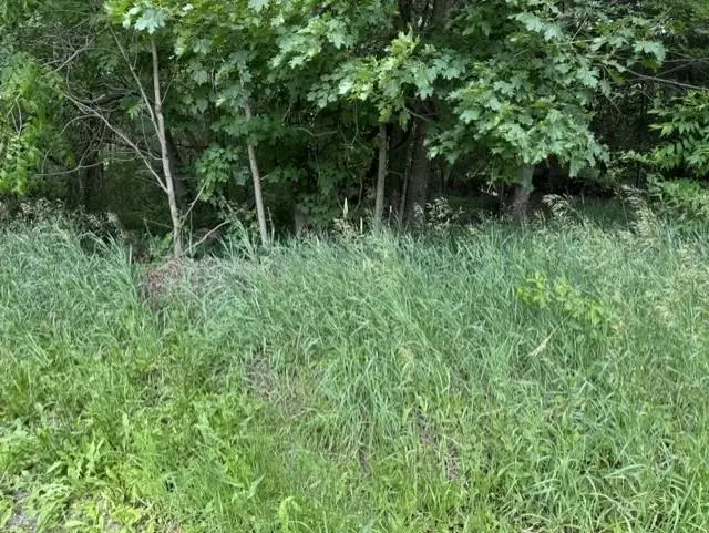 TBD N Lincoln, Stanton, MI 48888 - #2