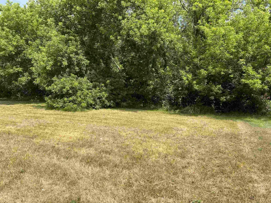 307 Red Maple, Shepherd, MI 48883 - #2