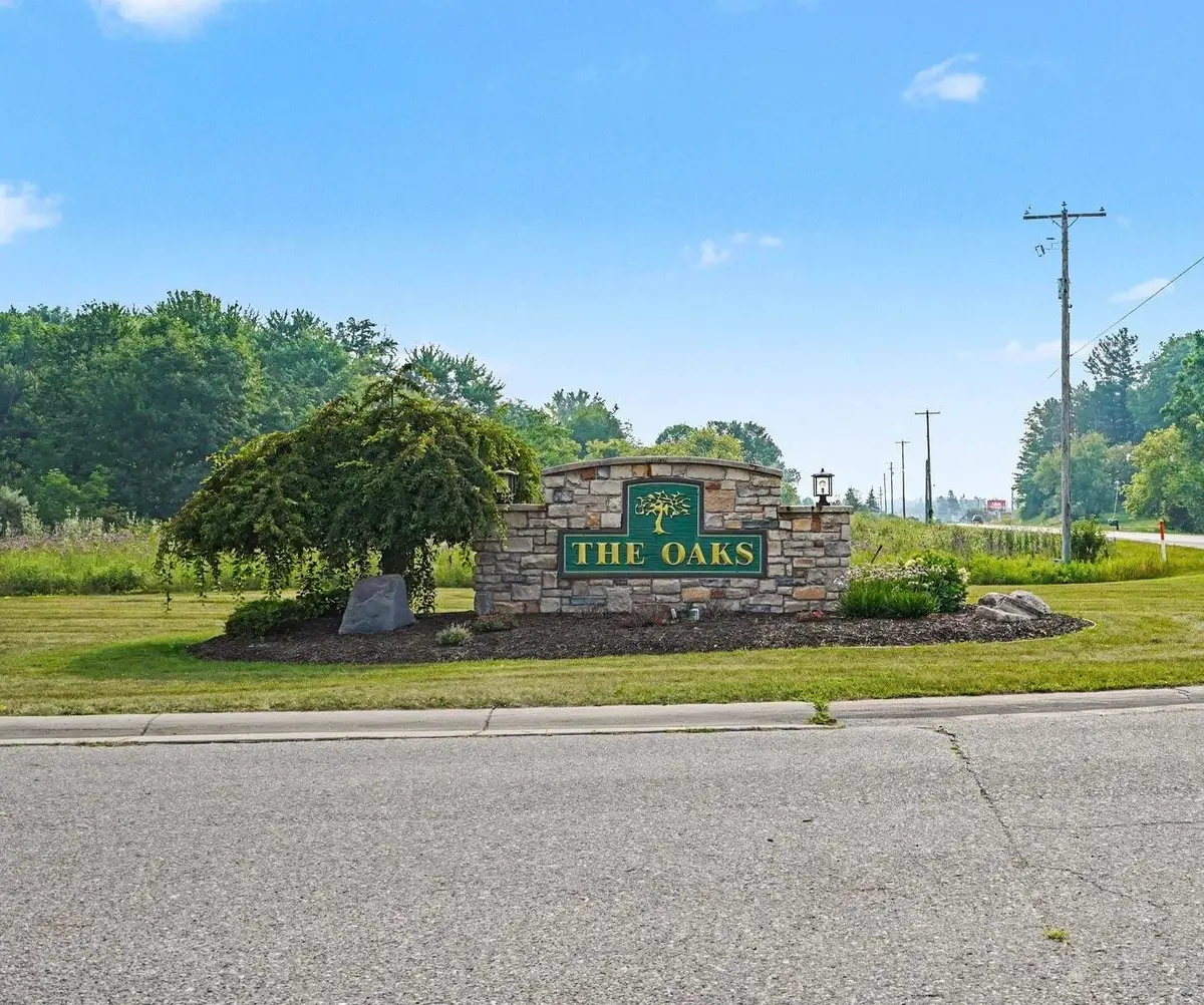 TBD Buckthorn, Mtpleasant, MI 48858 - #1
