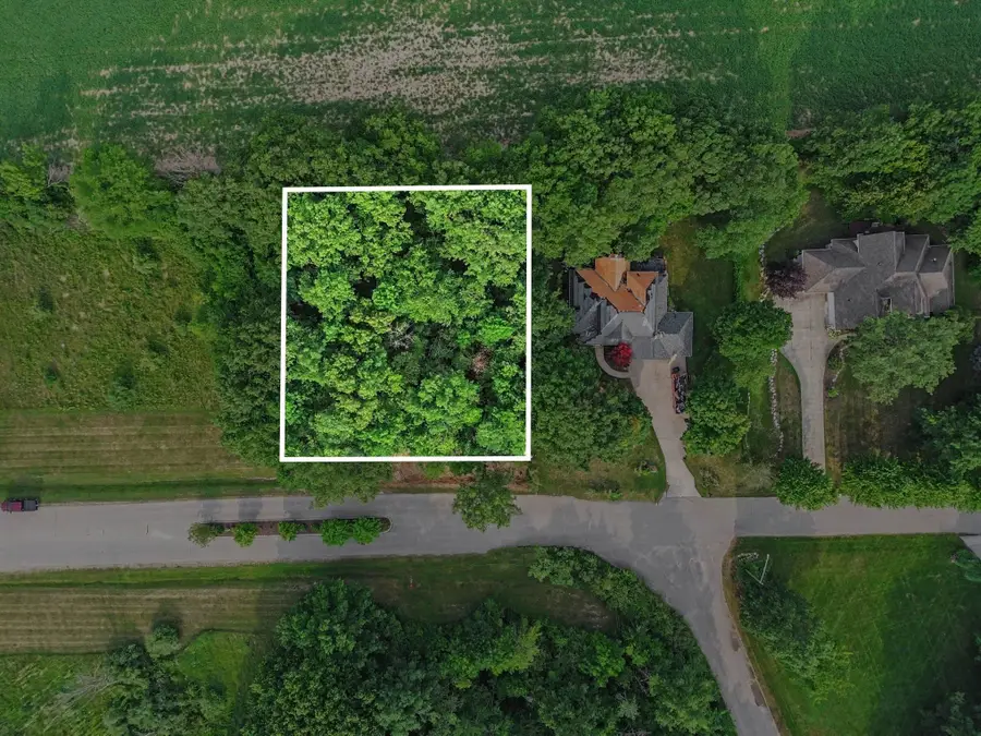 TBD Buckthorn, Mtpleasant, MI 48858 - #3