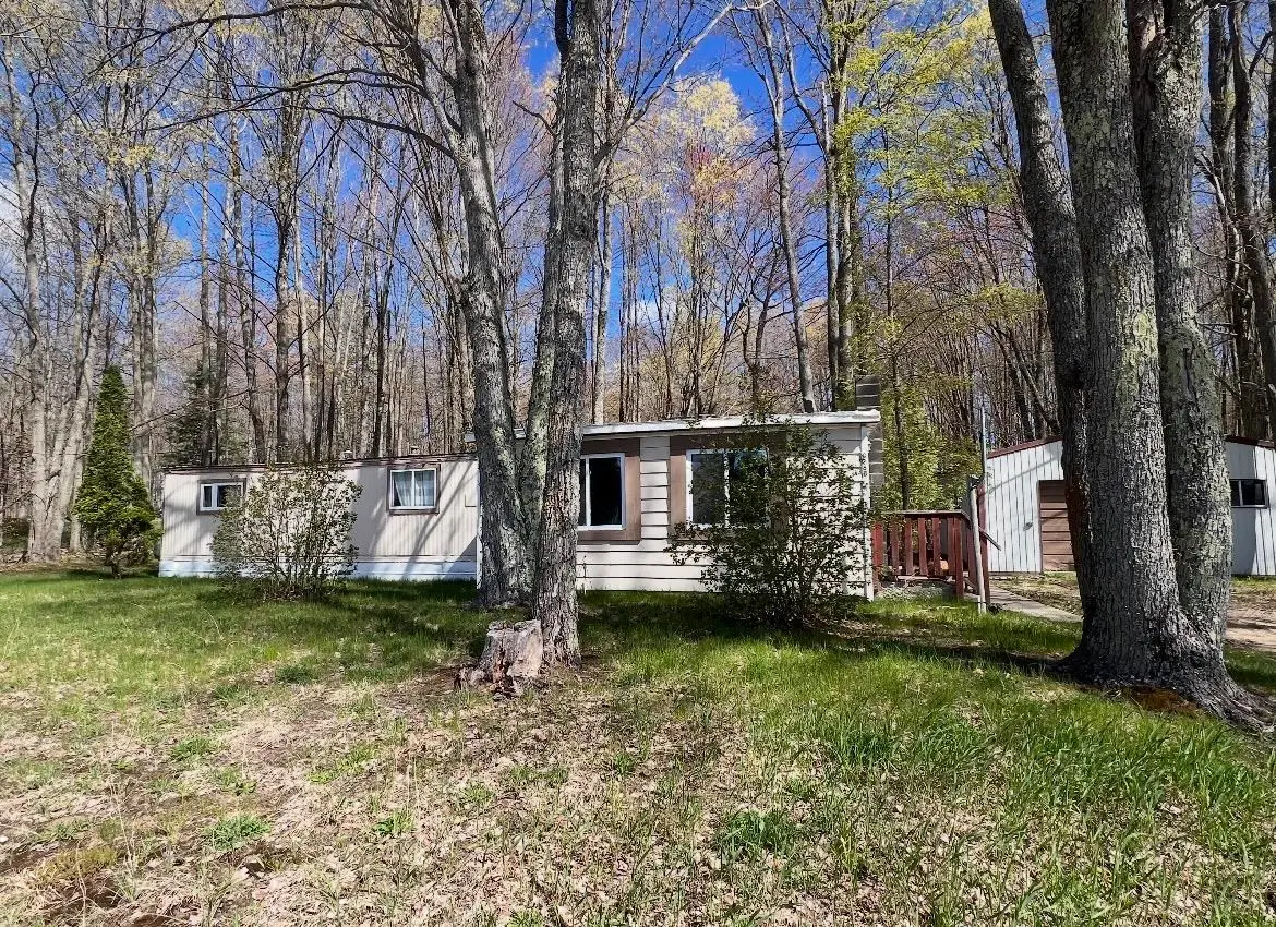 380 Thomas Road SW, Kalkaska, MI 49680 - #1