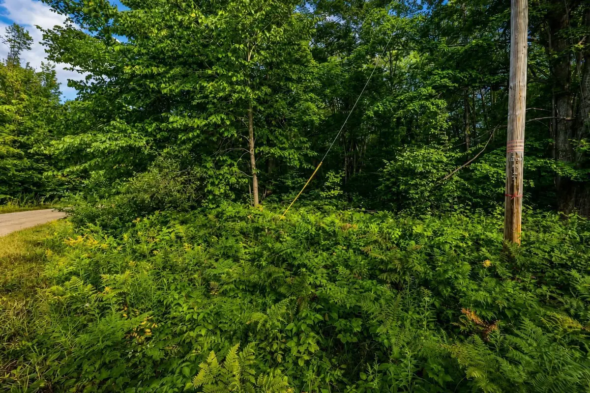 tbd Timberline DR, Elmira, MI 49615 - #1