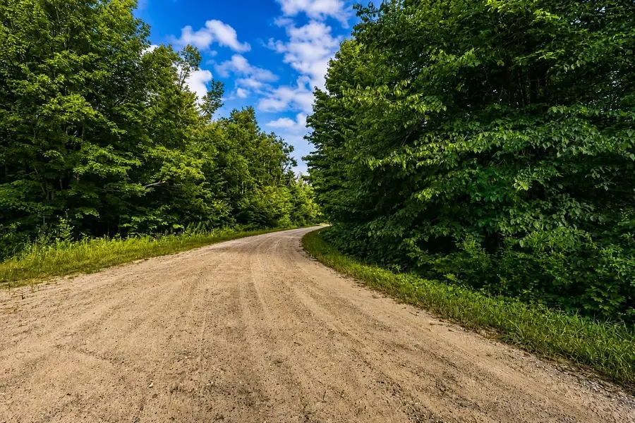 tbd Timberline DR, Elmira, MI 49615 - #2