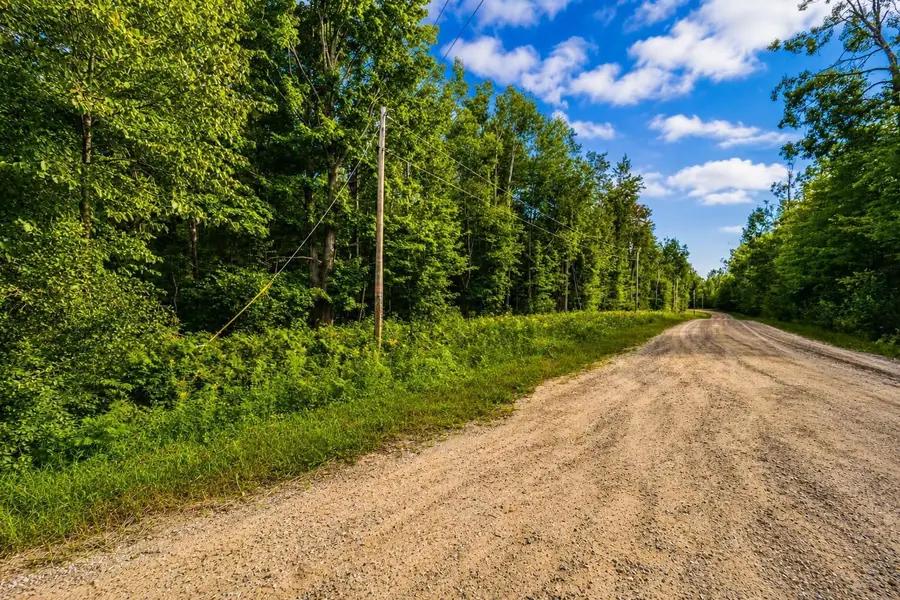 tbd Timberline DR, Elmira, MI 49615 - #3