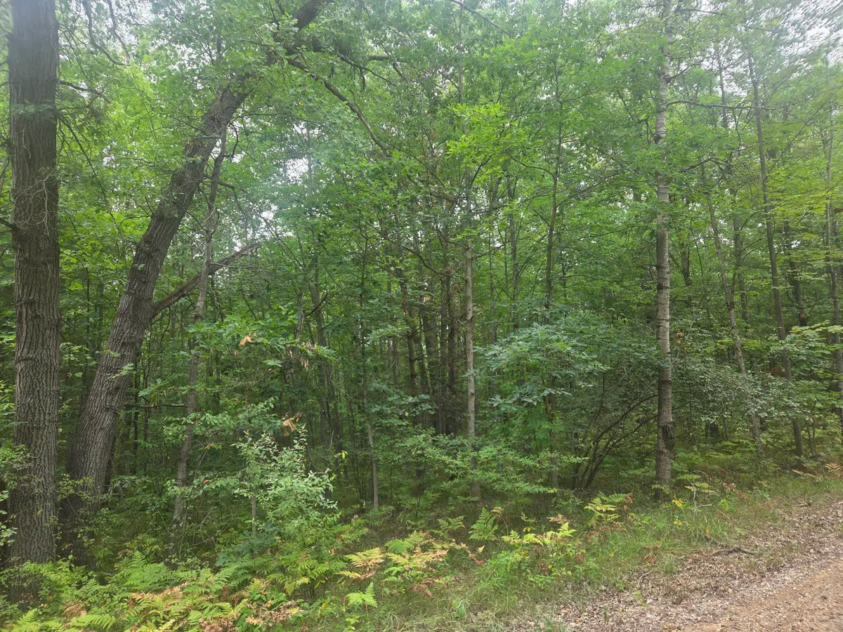 7873 Wild Oaks DR, Weidman, MI 48893 - #1