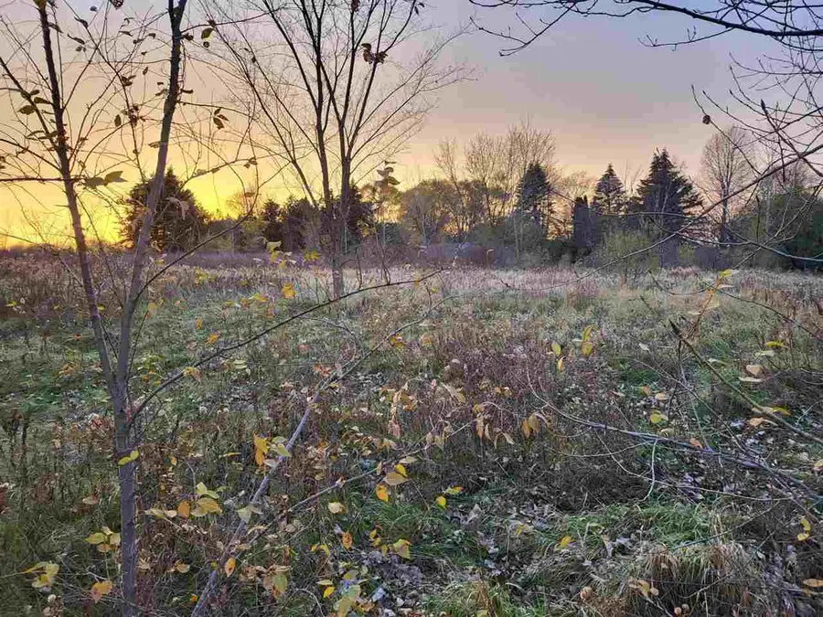 TBD Broomfield ST, Mount Pleasant, MI 48858 - #2