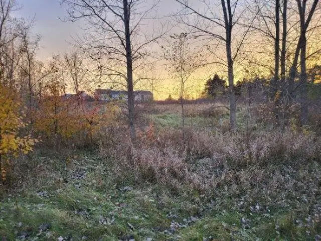 TBD Broomfield ST, Mount Pleasant, MI 48858 - #3