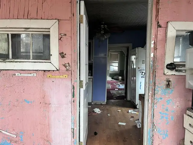 46 E James Street, River Rouge, MI 48218 - Image #3