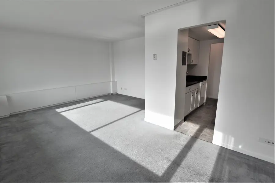 555 E William Street Unit: 14C, Ann Arbor, MI 48104 - Image #3