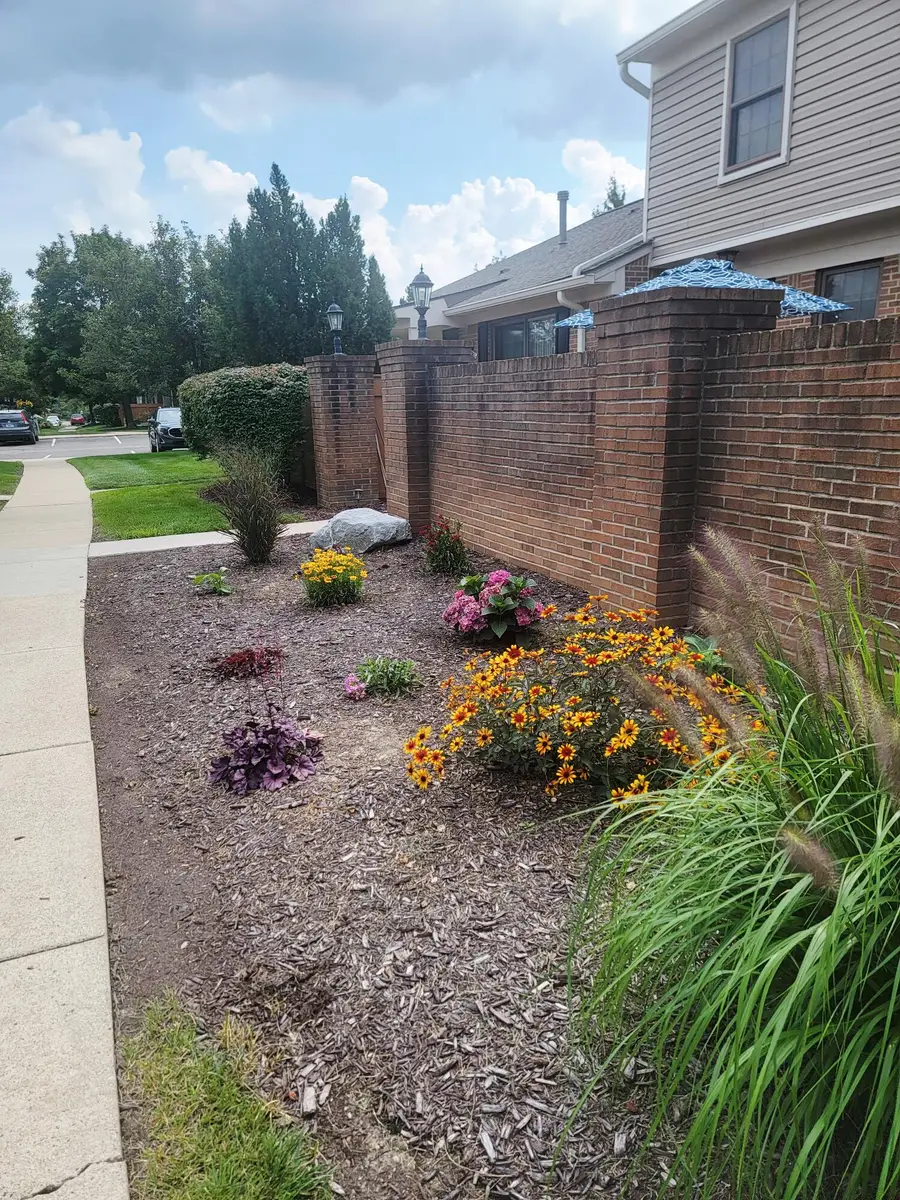 22363 Peachtree, Novi, MI 48375 - #3