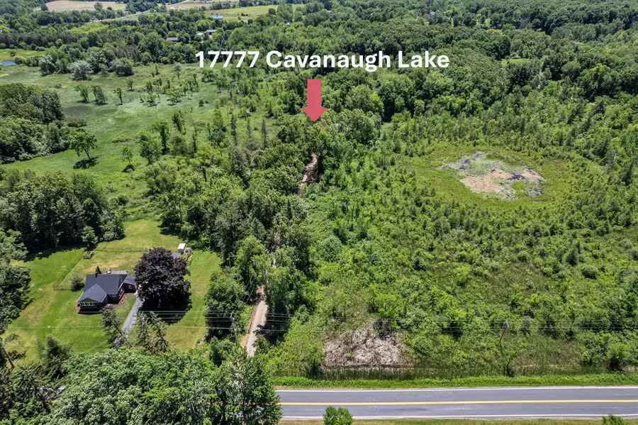 17777 Cavanaugh Lake Road, Chelsea, MI 48118 - #3