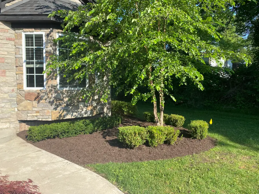 9915 Wayne Road, Livonia, MI 48150 - #3