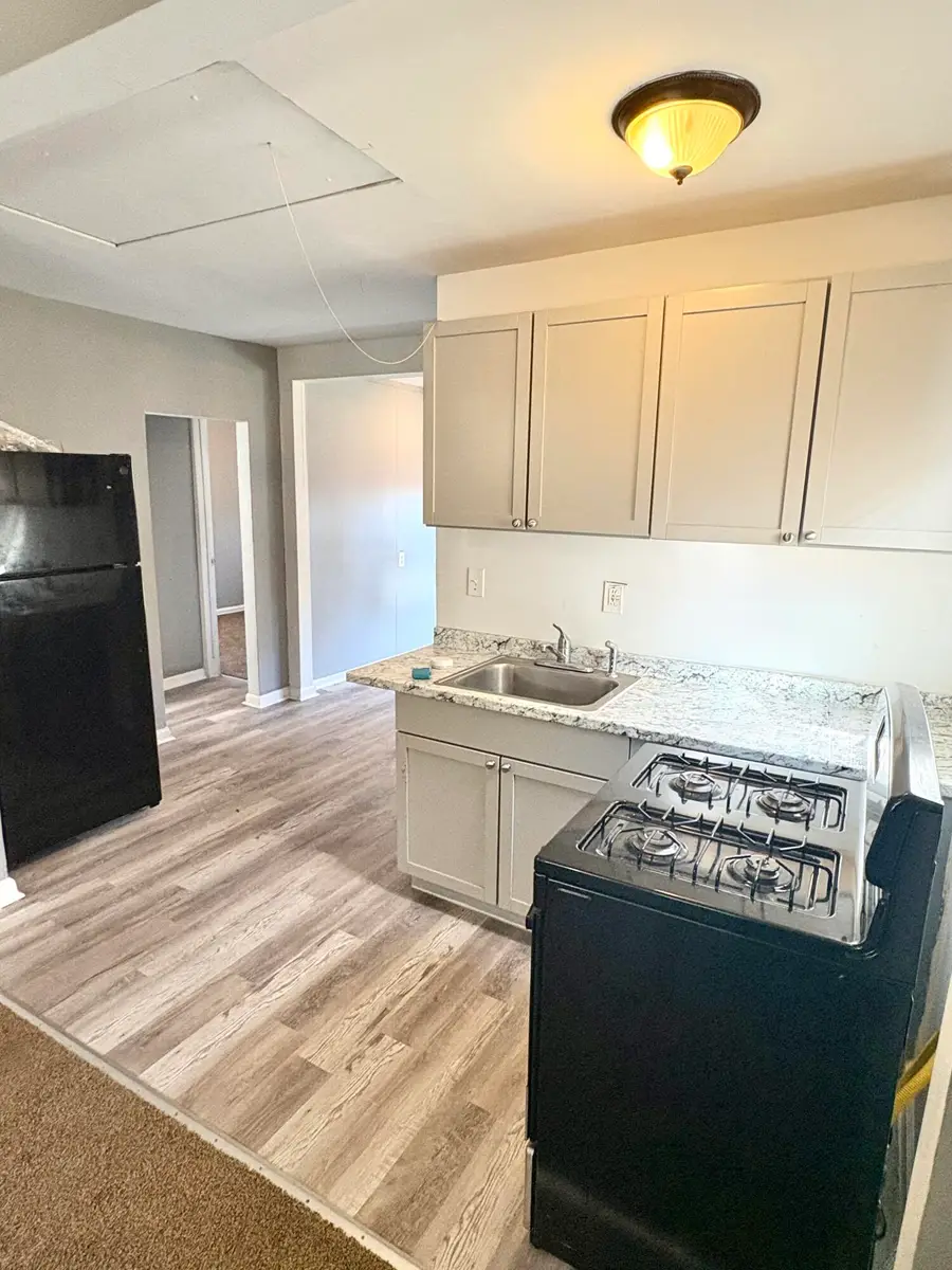 1321 Applewood Avenue, Lincoln Park, MI 48146 - #3