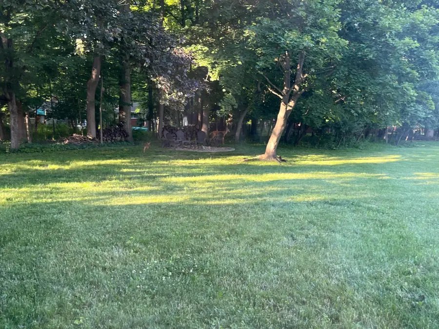 26532 Springfield Drive, Farmington Hills, MI 48334 - #2