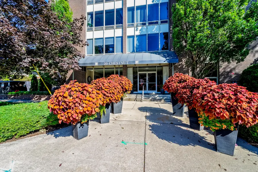 20 Chestnut Unit: 403 & 404, Wyandotte, MI 48192 - #2