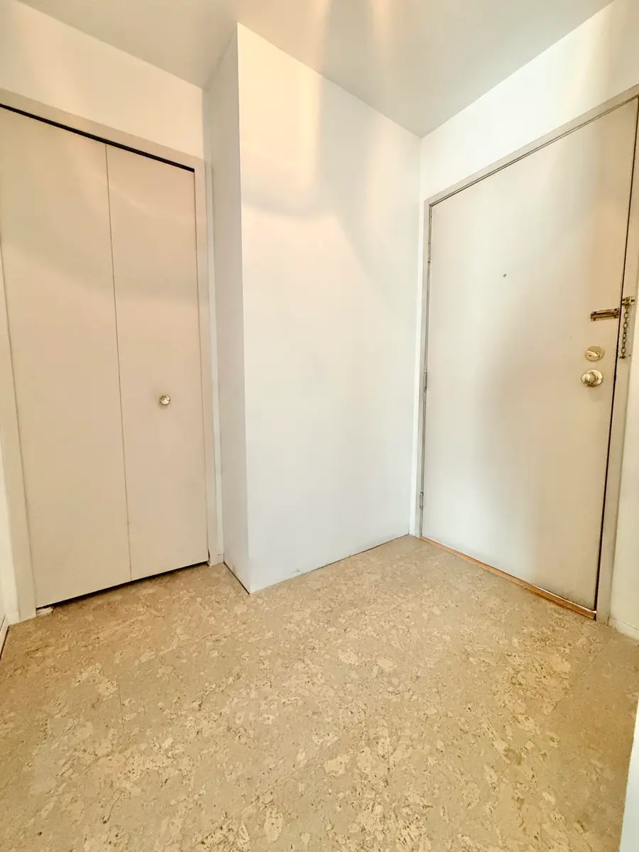2203 S Huron Parkway S Unit: 4, Ann Arbor, MI 48104 - #3