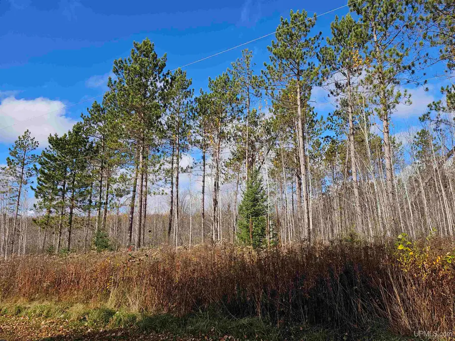 2ac Cataldo, Iron River, MI 49935 - Image #3