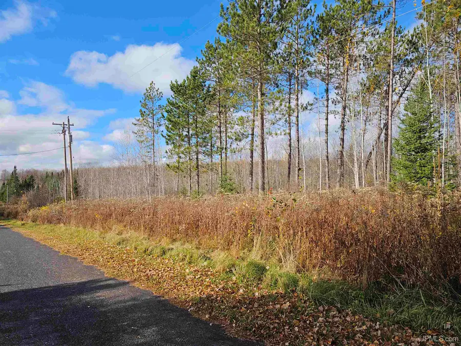 2ac Cataldo, Iron River, MI 49935 - Image #2