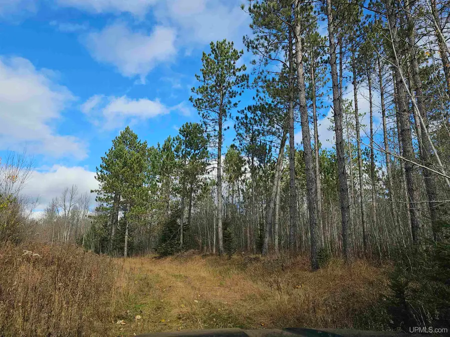 5.02ac Cataldo, Iron River, MI 49935 - Image #2