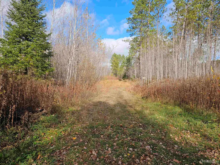 5.02ac Cataldo, Iron River, MI 49935 - Image #3