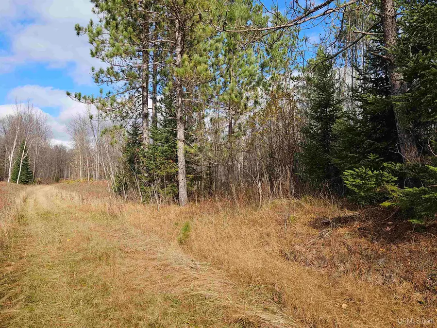 TBD Cataldo, Iron River, MI 49935 - Image #2