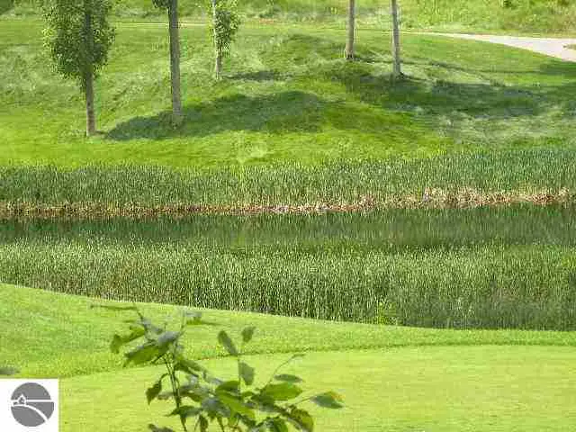 Lot 144 Falcons, Bellaire, MI 49615 - #3