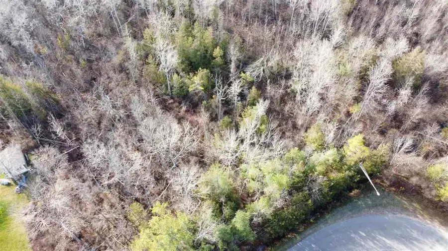 00 W Third, Elk Rapids, MI 49629 - Image #3