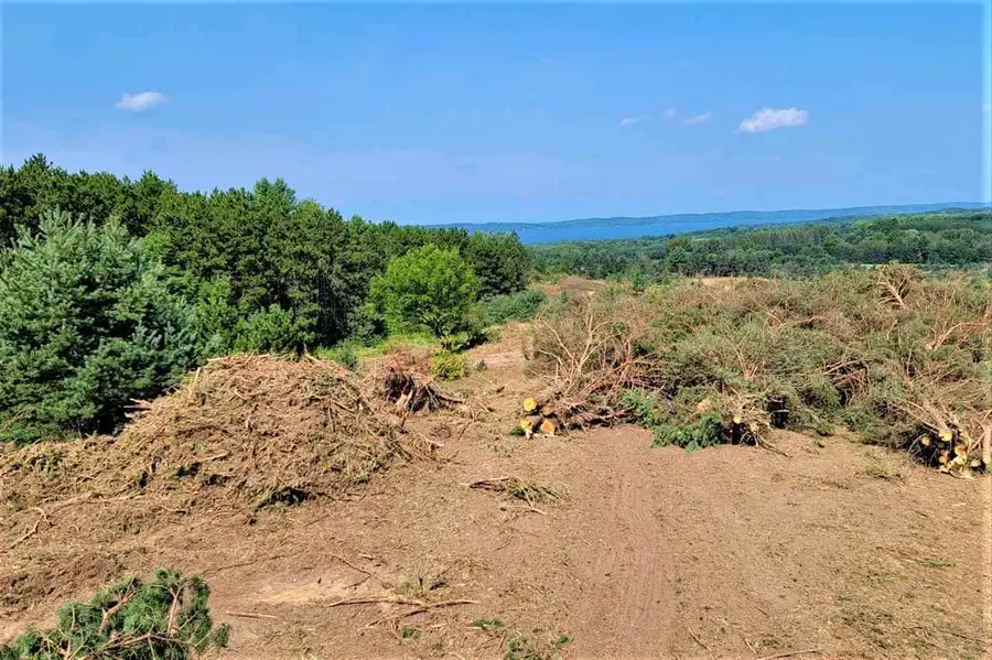 Parcel B Cemetery, Alden, MI 49612 - Image #3