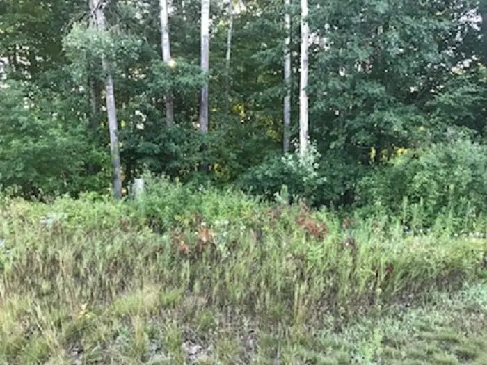 N/A Noble, Tawas City, MI 48763 - Image #2