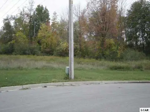 1005 Saw Mill, Adrian, MI 49221 - Image #2