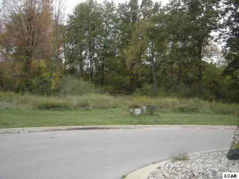 1003 Saw Mill, Adrian, MI 49221 - Image #2