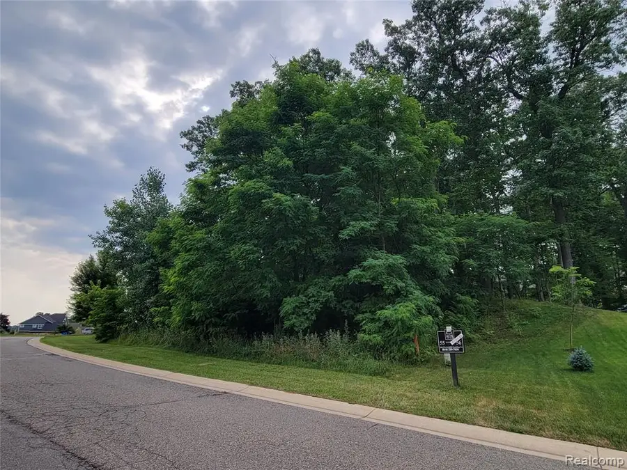 Lot 55 - Wyndam, Brighton, MI 48116 - #2
