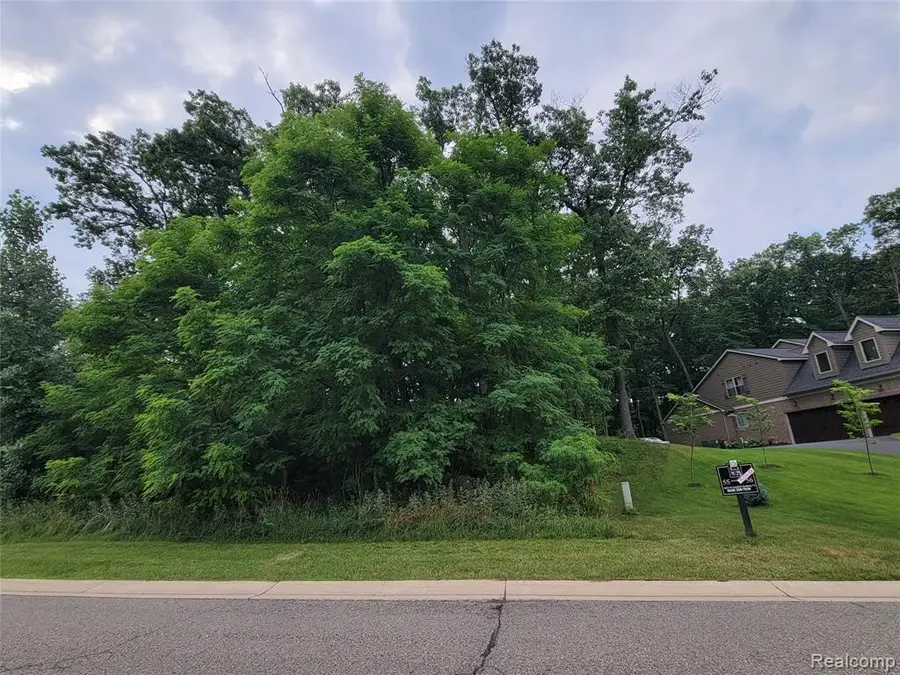 Lot 55 - Wyndam, Brighton, MI 48116 - #3