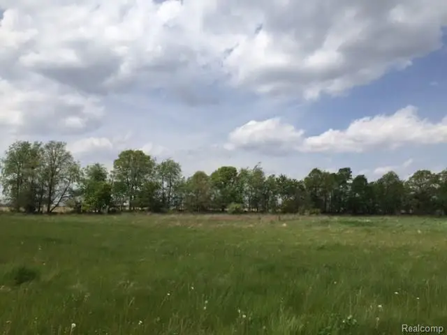 0 Adelines (lot 20), Fowlerville, MI 48836 - #1