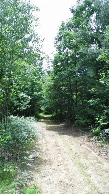 0 Sanilac, Vassar, MI 48768 - Image #3