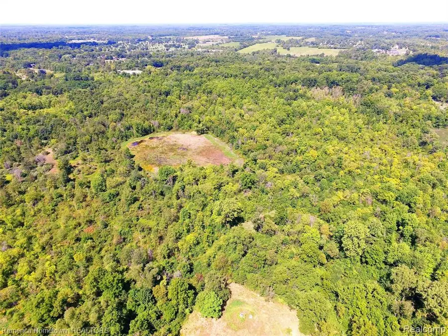 9343 Five Mile, South Lyon, MI 48178 - Image #3