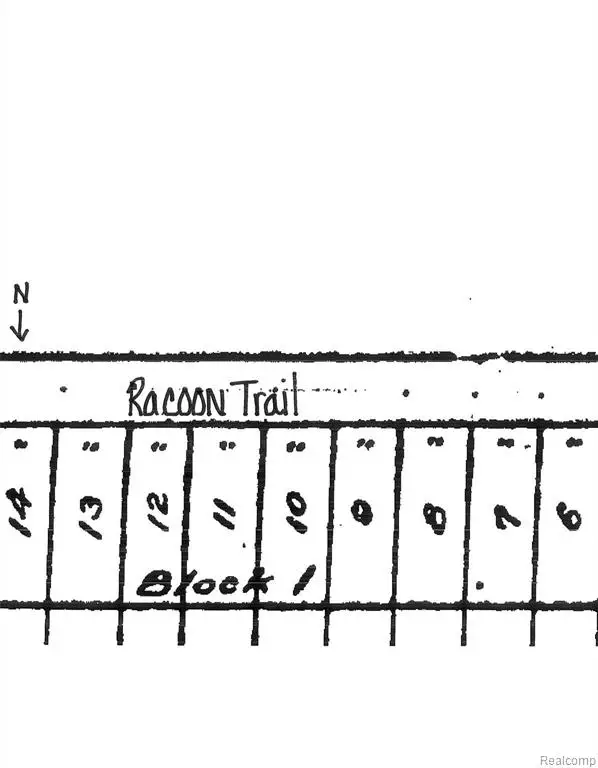 0 Racoon Trail, Lincoln, MI 48742 - #2