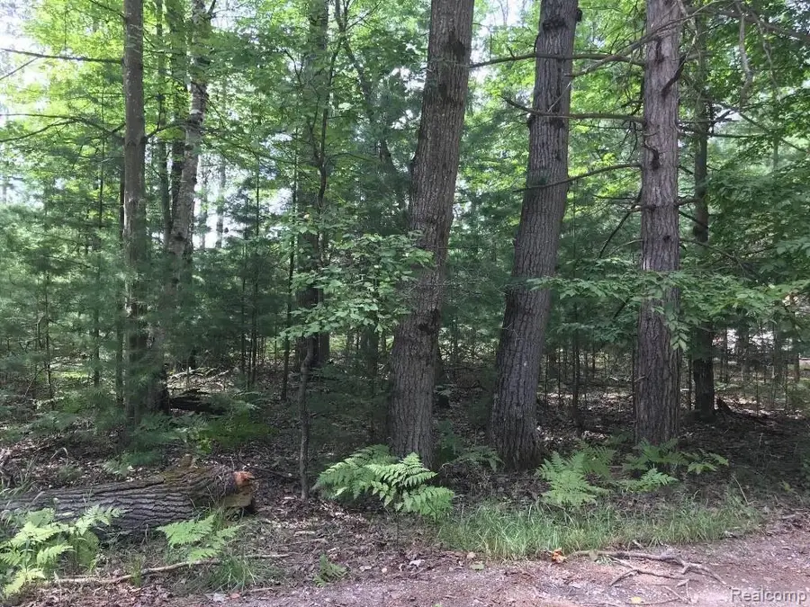0 Racoon Trail, Lincoln, MI 48742 - #3