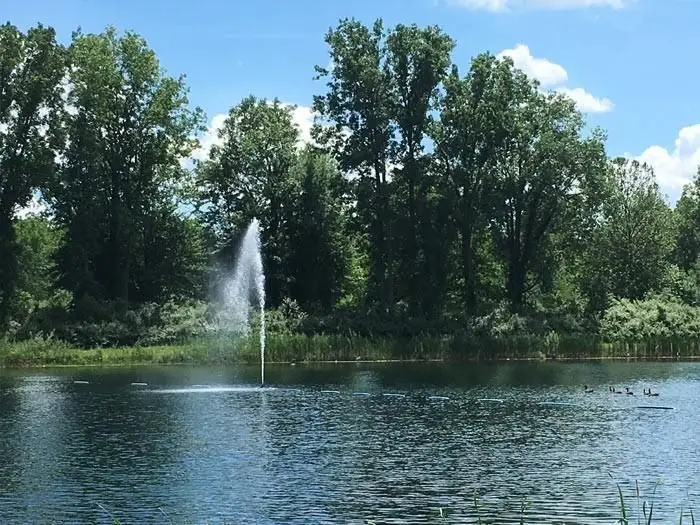 37478 Dianne, New Boston, MI 48164 - Image #3