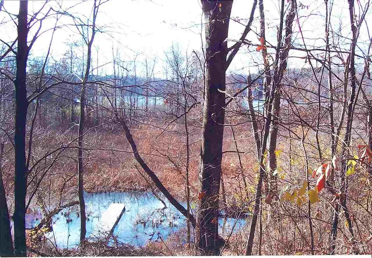 12433 N Crystal Lake, Cement City, MI 49233 - Image #1