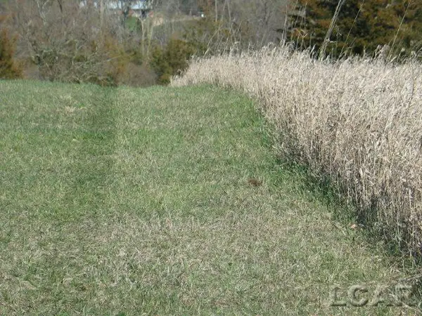 8000 Blk Parkhurst, Addison, MI 49220