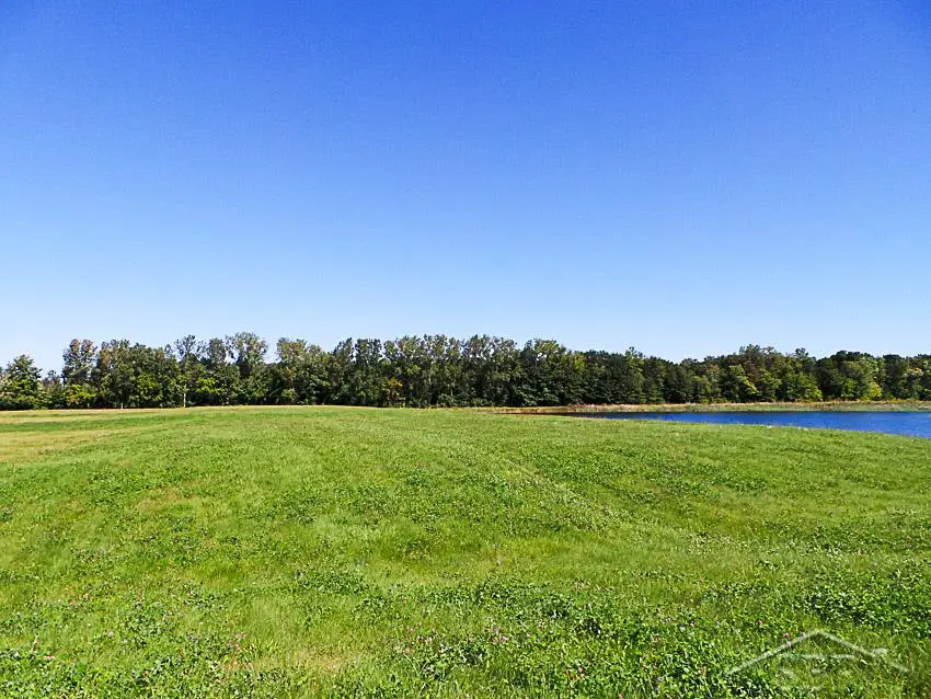 7863 Sheridan Rd. Lot 4, Birch Run, MI 48415 - Image #3
